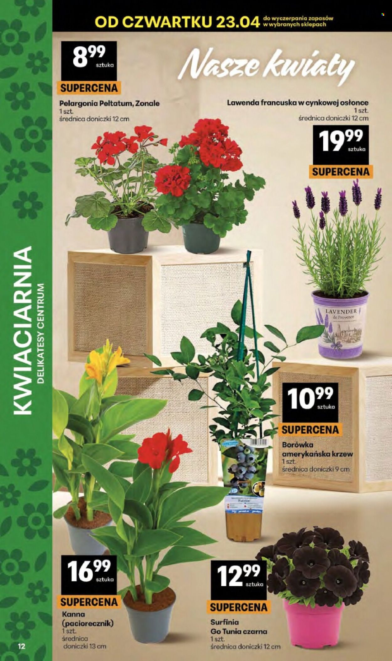 Gazetka Delikatesy Centrum - 23.04.2026 - 29.04.2026. Strona 12