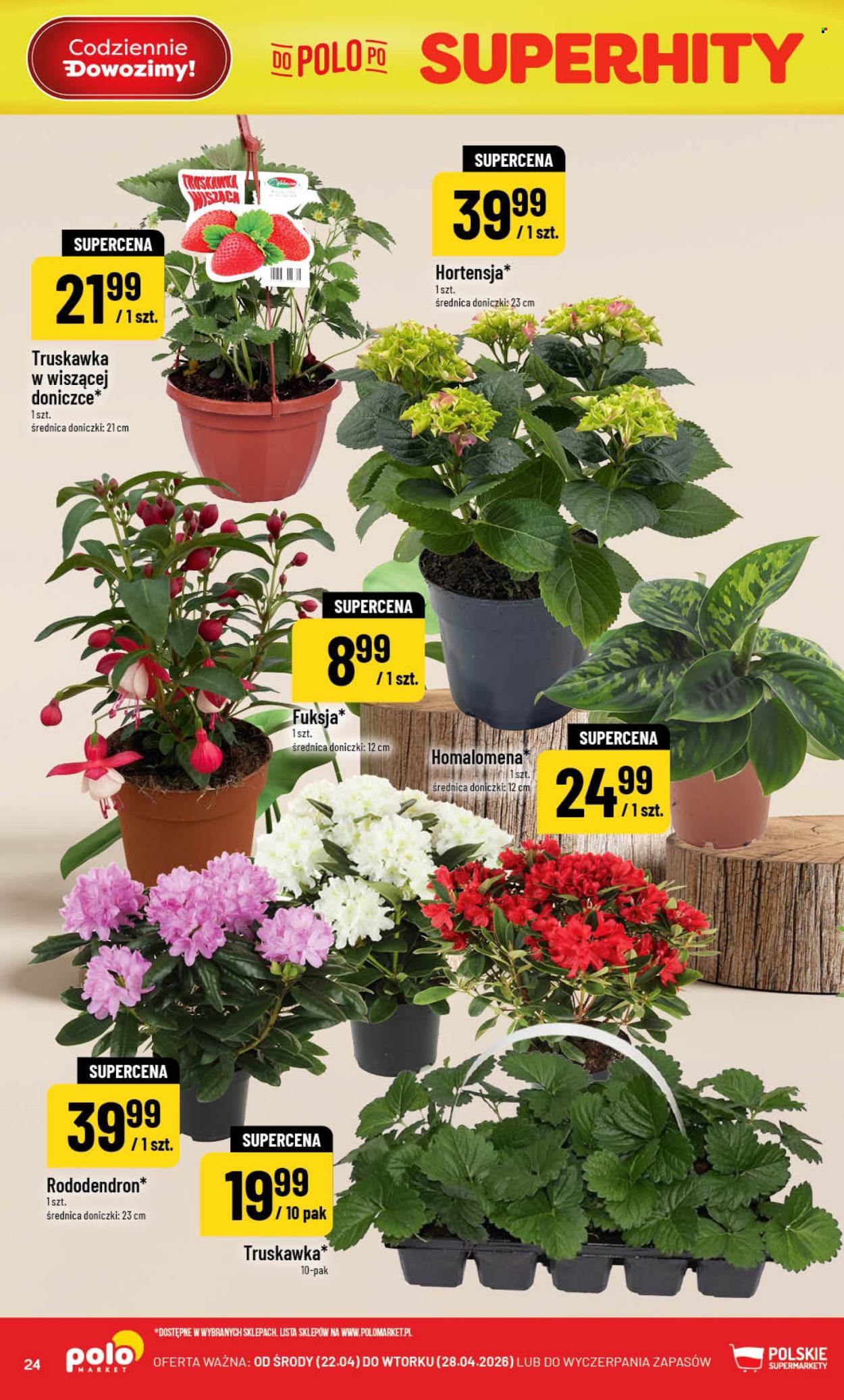 Gazetka Polomarket - 22.04.2026 - 28.04.2026. Strona 24