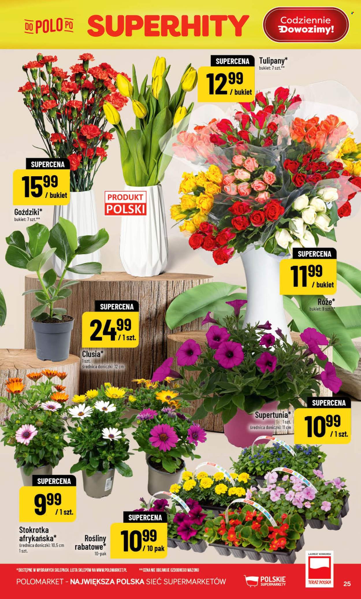 Gazetka Polomarket - 22.04.2026 - 28.04.2026. Strona 25