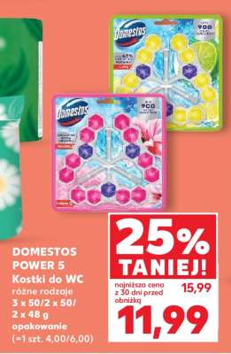 DOMESTOS POWER 5 Kostki do WC