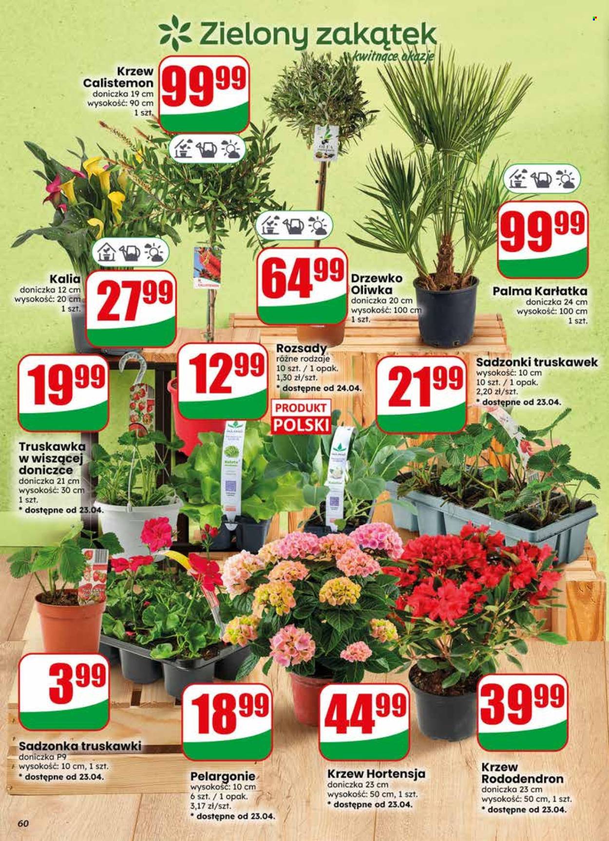 Gazetka Dino - 22.04.2026 - 28.04.2026. Strona 60