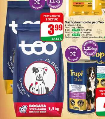 Sucha karma dla psa Teo