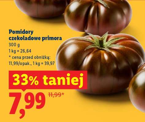 Pomidor czekoladowy primora