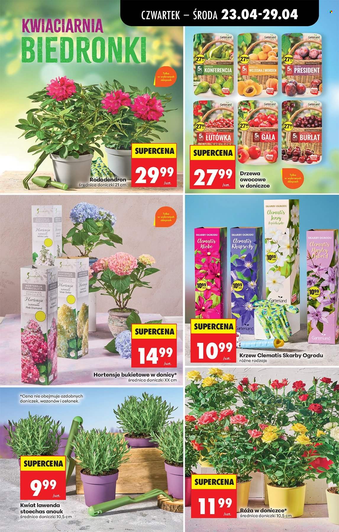 Gazetka Biedronka - 23.04.2026 - 29.04.2026. Strona 63