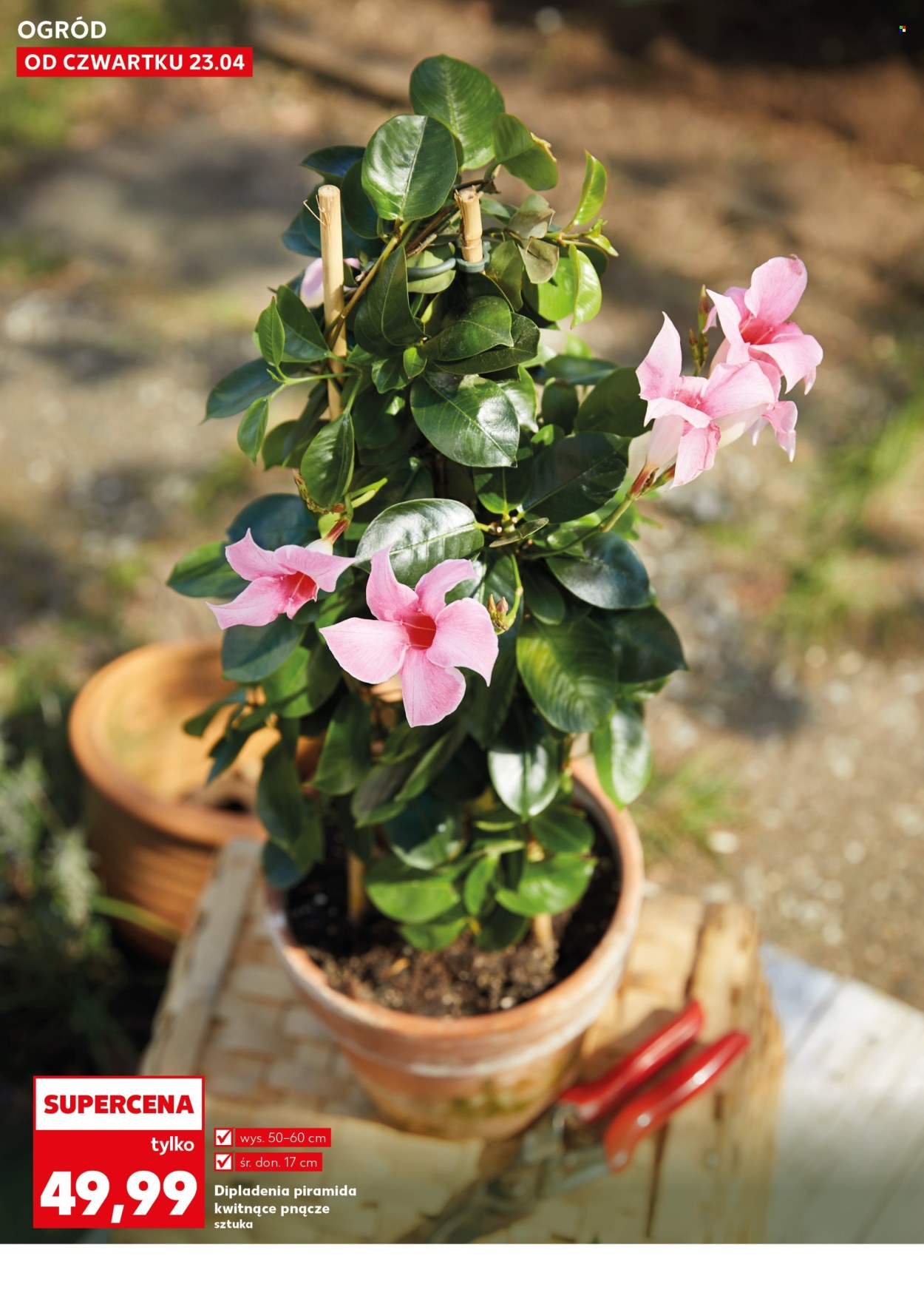 Gazetka Kaufland - 23.04.2026 - 28.04.2026. Strona 10