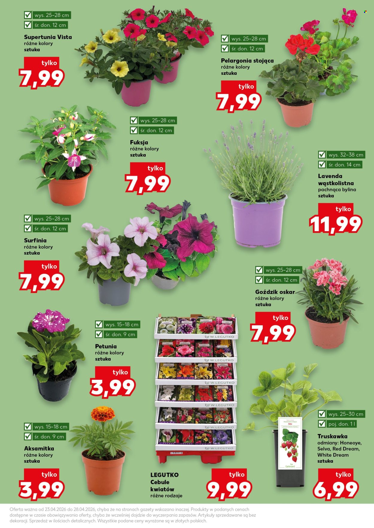Gazetka Kaufland - 23.04.2026 - 28.04.2026. Strona 11