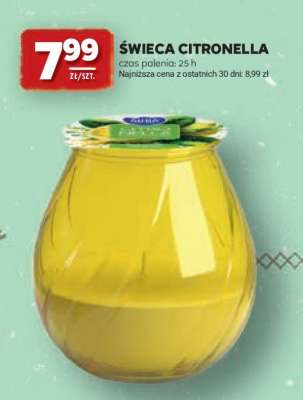 Świeca citronella