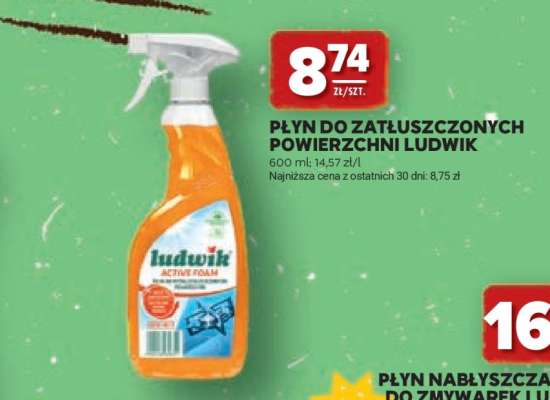 Płyn do Zatłuszczonych Powierzchni Ludwik