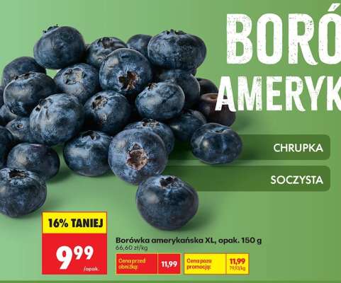 Borówka amerykańska XL, opak. 150 g