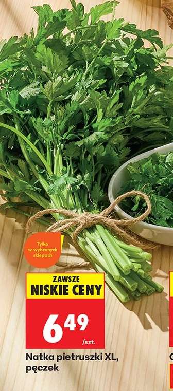 Natka pietruszki XL pęczek