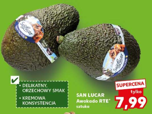 SAN LUCAR Awokado RTE*