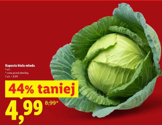 KAPUSTA BIAŁA MŁODA
