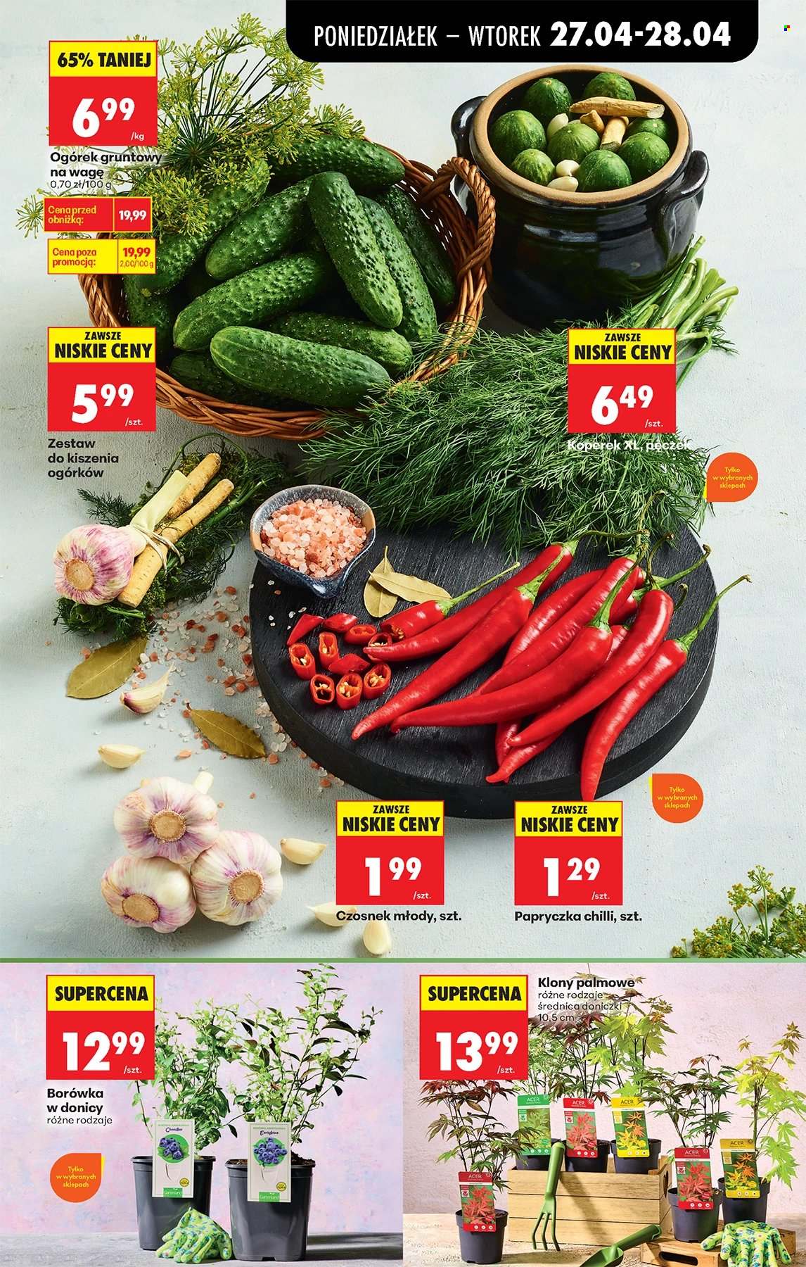 Gazetka Biedronka - 27.04.2026 - 2.05.2026. Strona 33