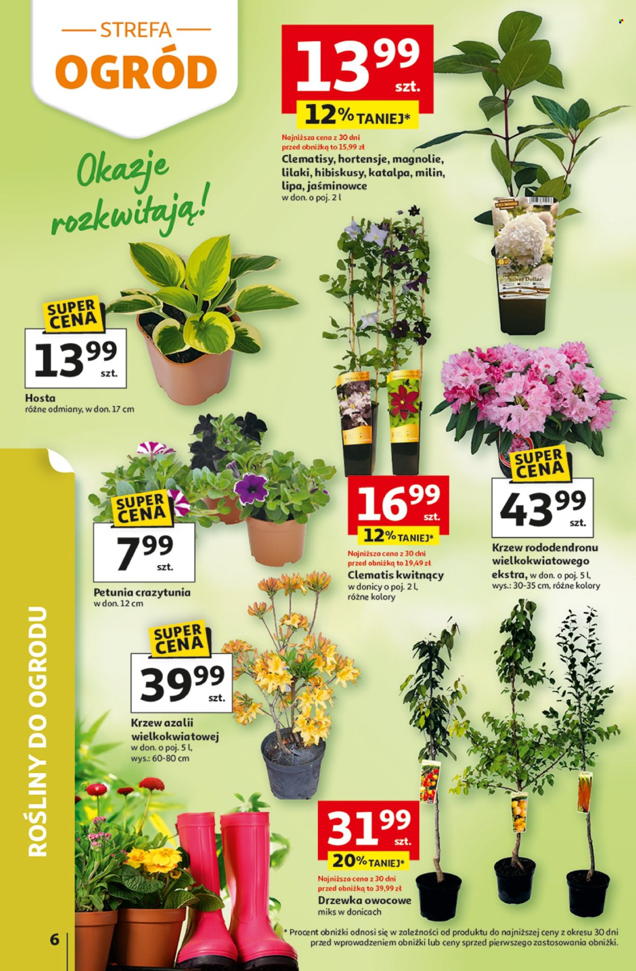 Gazetka Auchan - 29.04.2026 - 6.05.2026. Strona 6