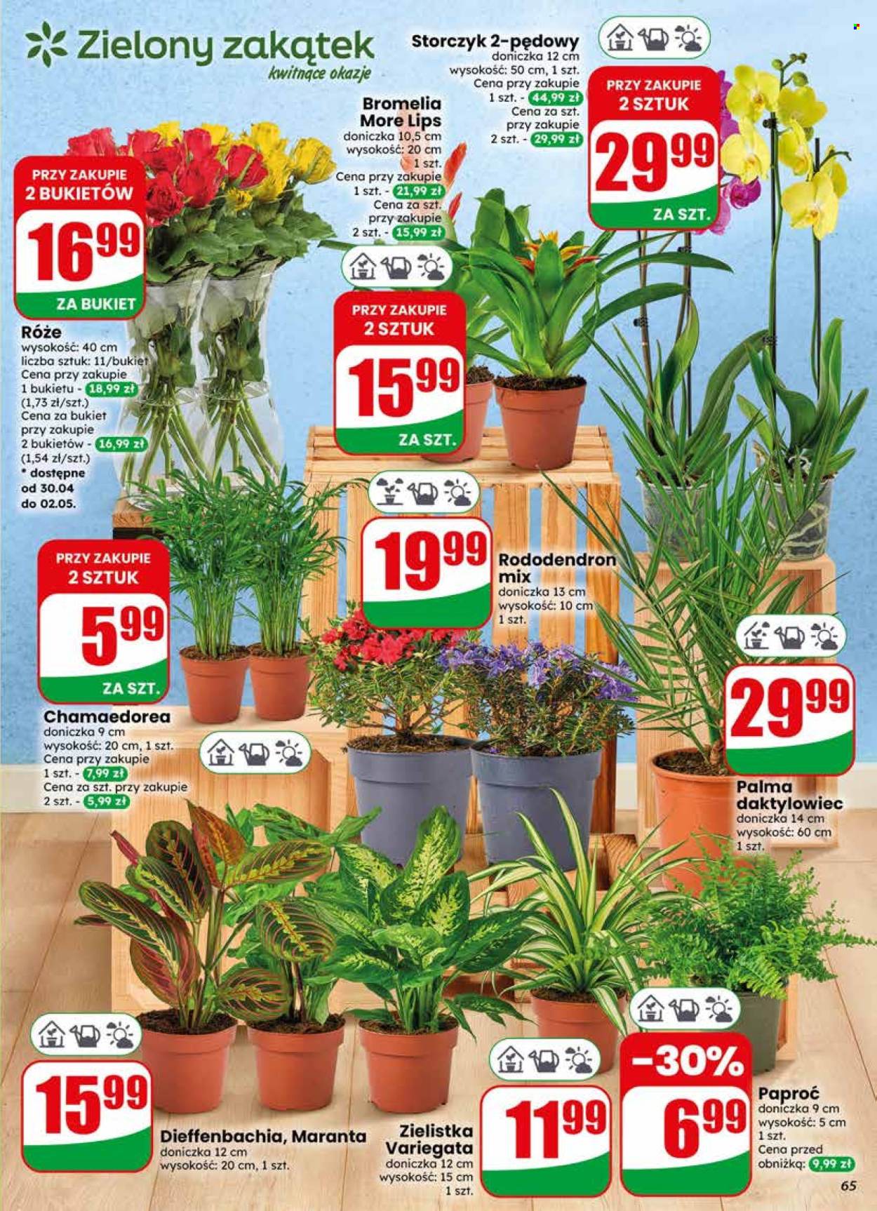 Gazetka Dino - 29.04.2026 - 5.05.2026. Strona 65