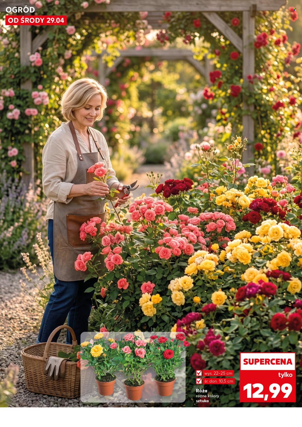 Gazetka Kaufland - 29.04.2026 - 6.05.2026. Strona 10