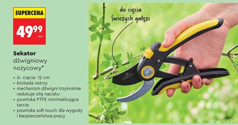 Sekator dźwigniowy nożycowy