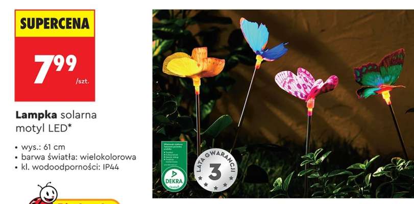 Lampka solarna motyl LED
