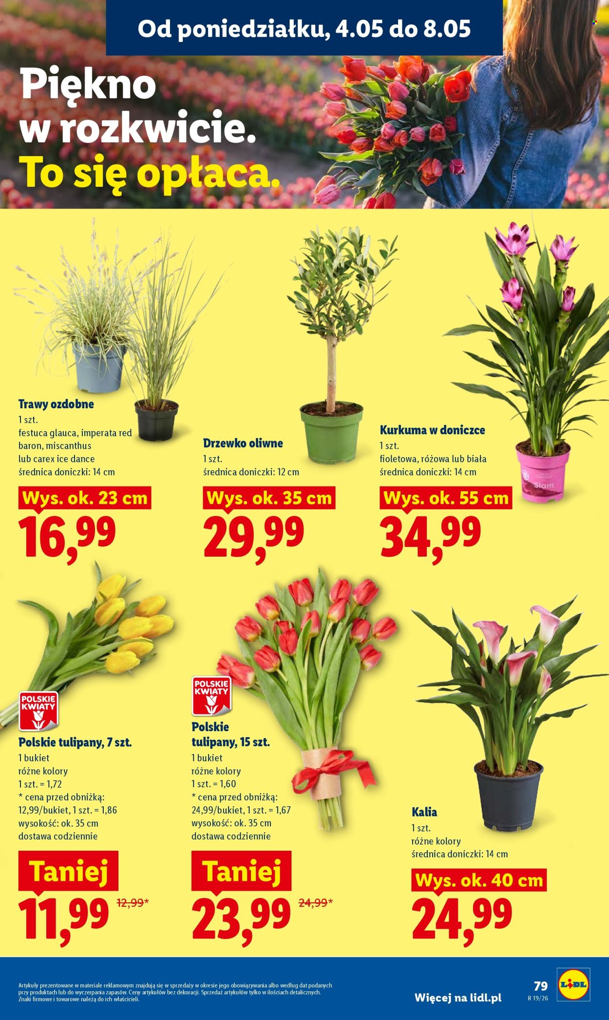 Gazetka Lidl - 4.05.2026 - 6.05.2026. Strona 85