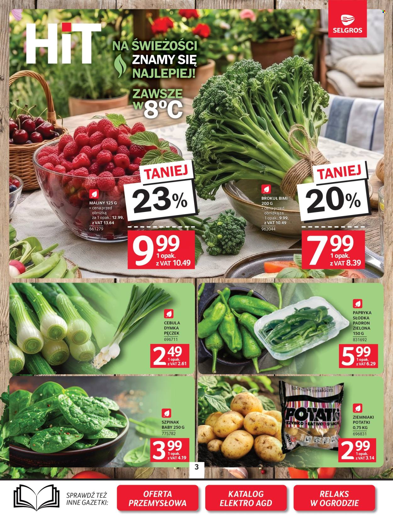 Gazetka Selgros - 7.05.2026 - 20.05.2026. Strona 3