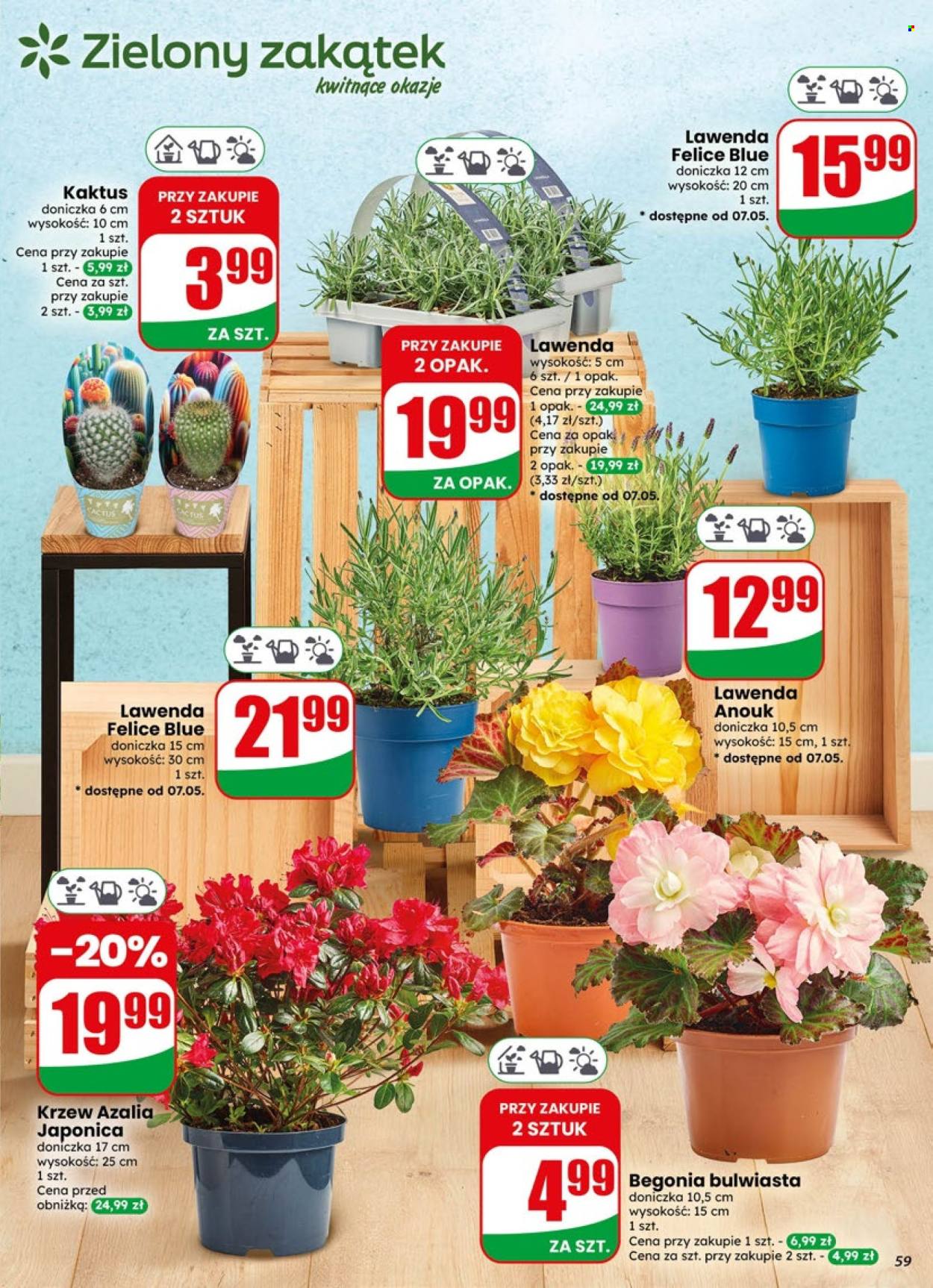 Gazetka Dino - 6.05.2026 - 12.05.2026. Strona 59