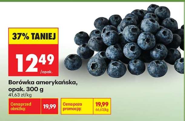 Borówka amerykańska opak 300 g