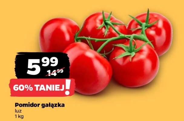 Pomidor gałązka