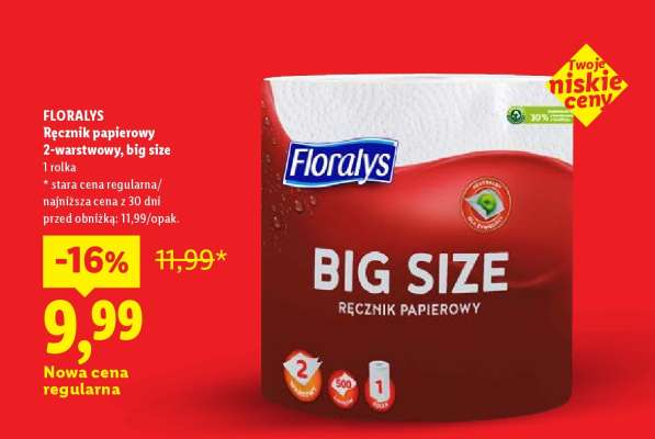 FLORALYS Ręcznik papierowy 2-warstwowy, big size