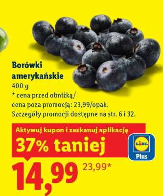 Borówki amerykańskie