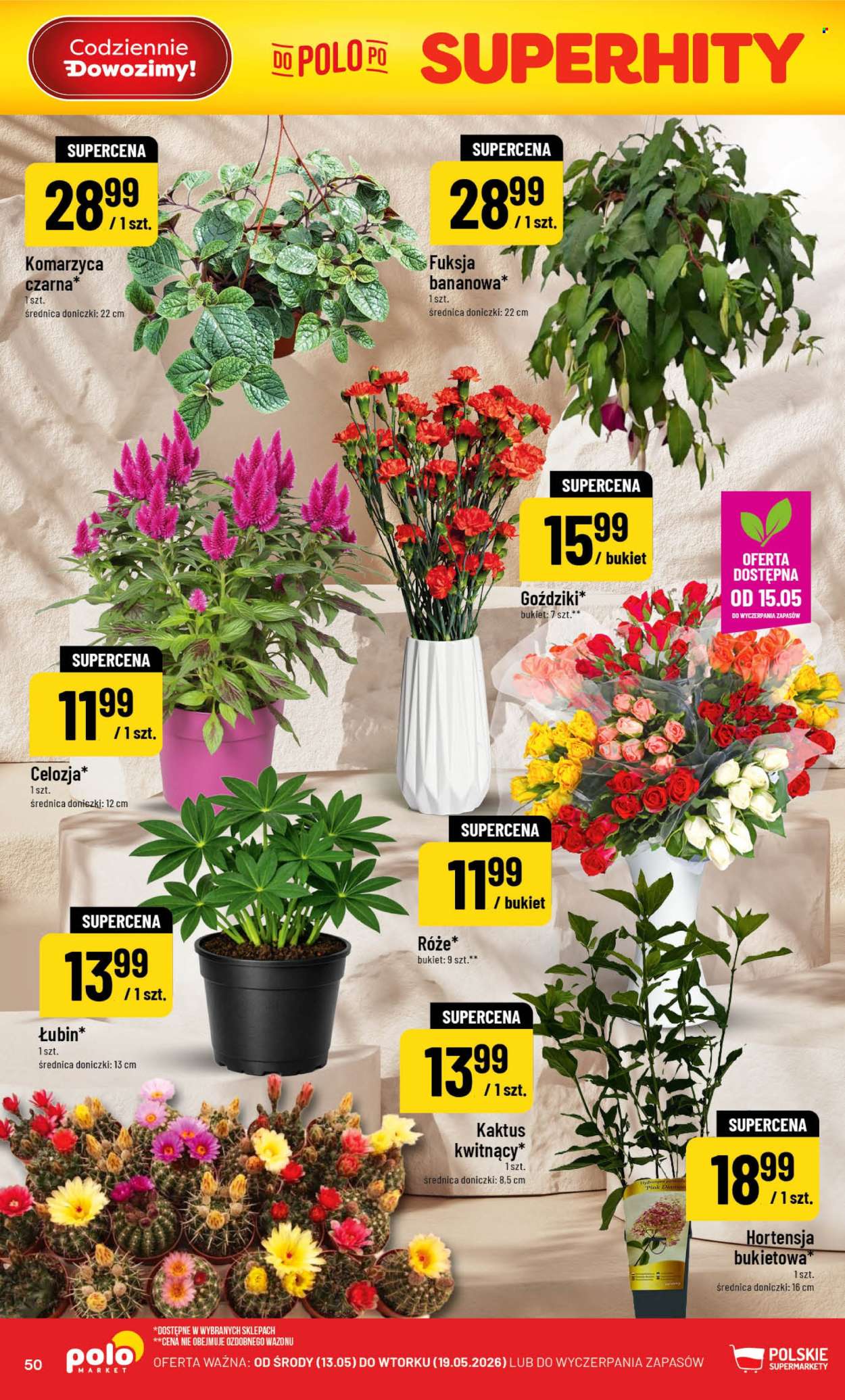 Gazetka Polomarket - 13.05.2026 - 19.05.2026. Strona 50