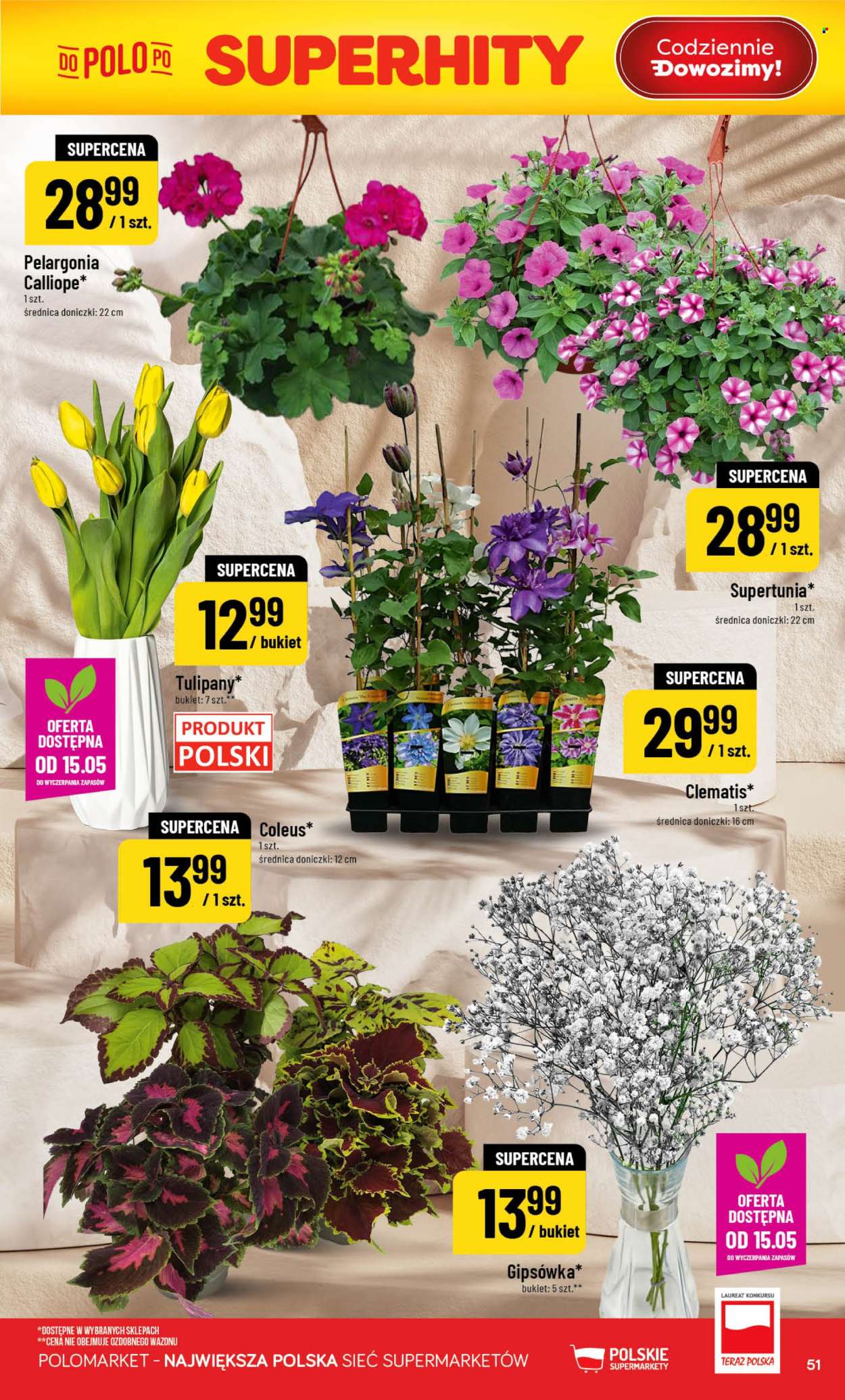 Gazetka Polomarket - 13.05.2026 - 19.05.2026. Strona 51