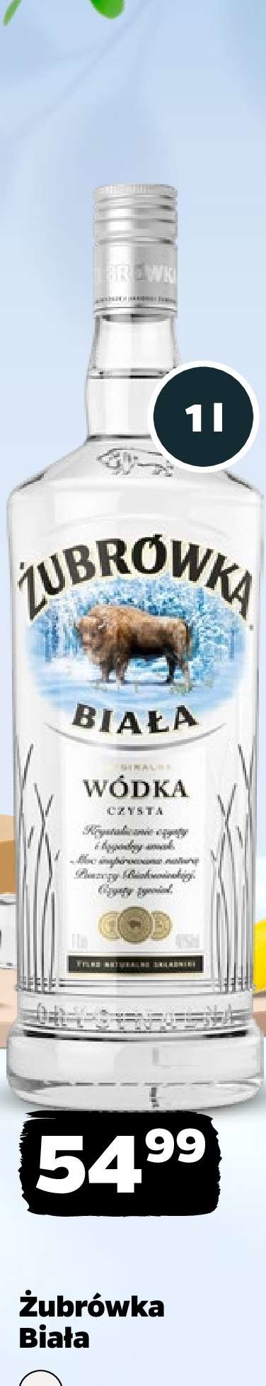 ŻUBRÓWKA BIAŁA
