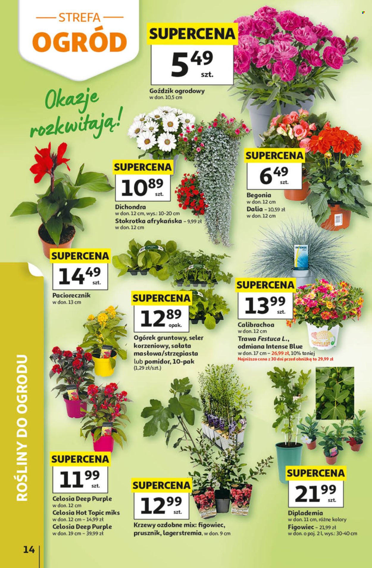 Gazetka Auchan - 14.05.2026 - 20.05.2026. Strona 14