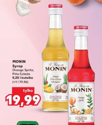MONIN Syrop