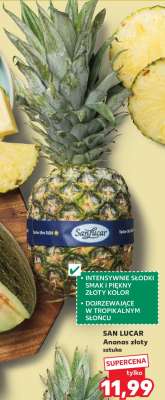 SAN LUCAR Ananas złoty