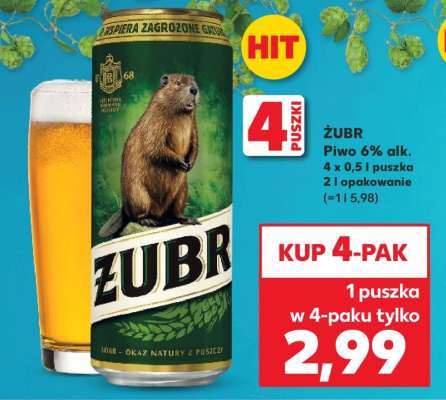 Żubr