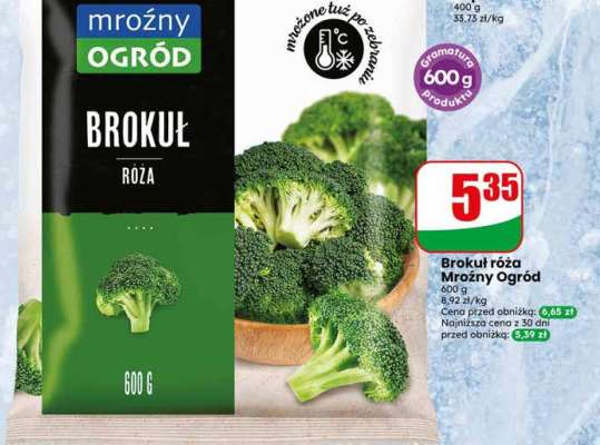 Brokuł róża Mroźny Ogród