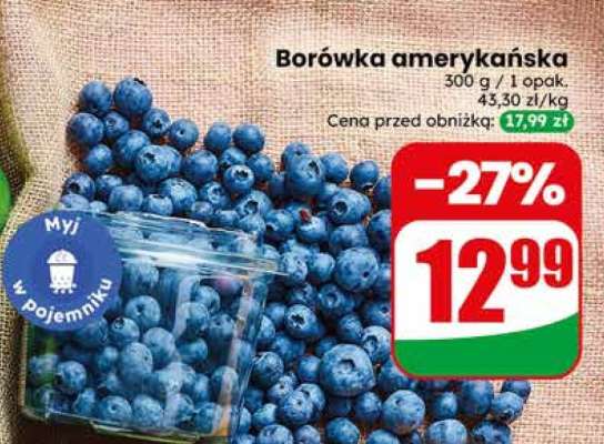 Borówka amerykańska