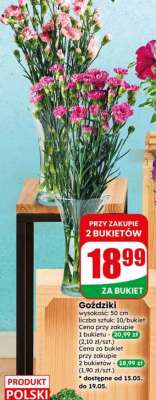 Goździki
