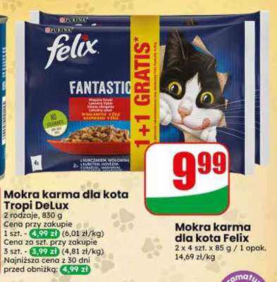 Mokra karma dla kota Felix