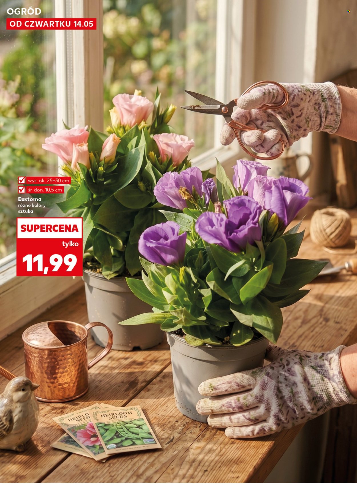 Gazetka Kaufland - 14.05.2026 - 20.05.2026. Strona 10