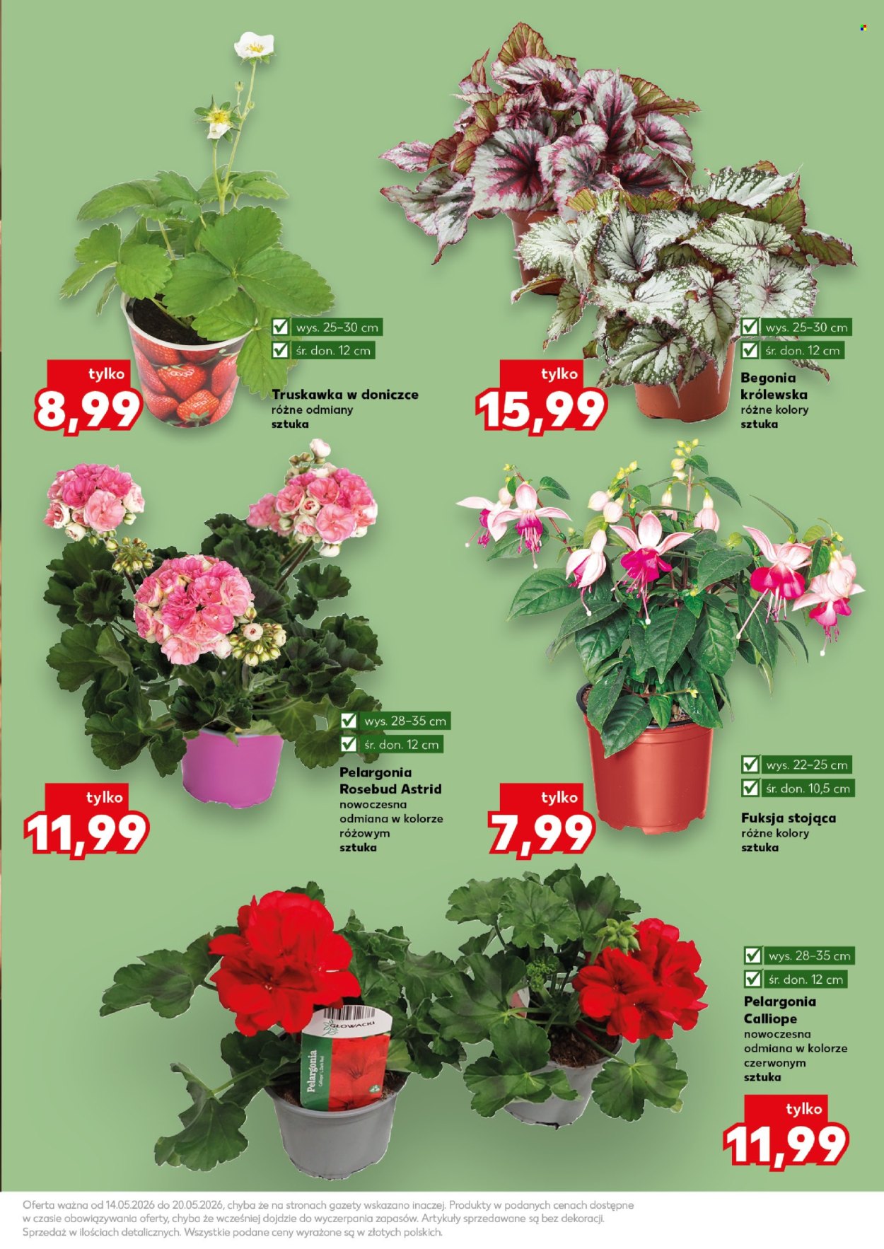 Gazetka Kaufland - 14.05.2026 - 20.05.2026. Strona 11