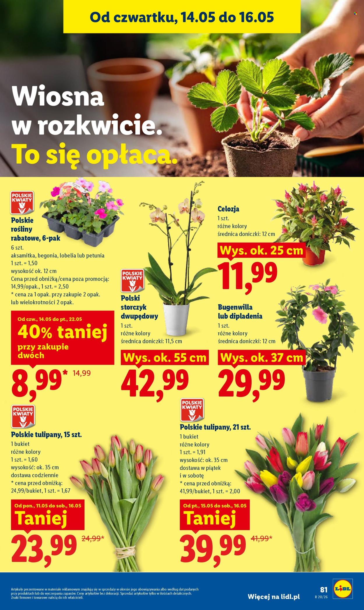 Gazetka Lidl - 14.05.2026 - 16.05.2026. Strona 87