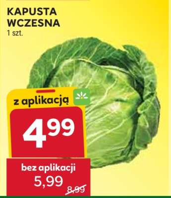 Kapusta wczesna