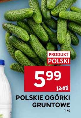 Polskie ogórki gruntowe