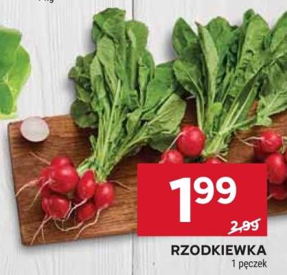 Rzodkiewka