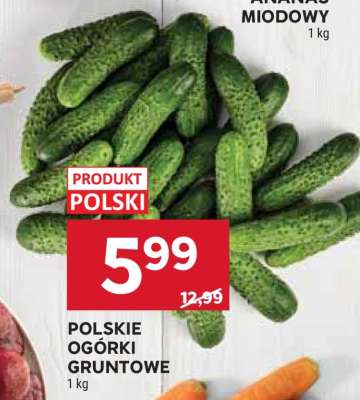 Polskie ogórki gruntowe