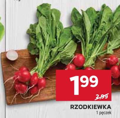 Rzodkiewka