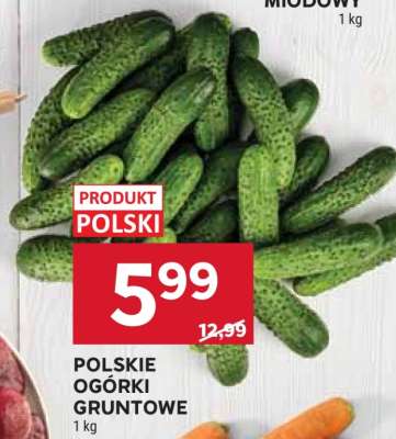 Polskie ogórki gruntowe
