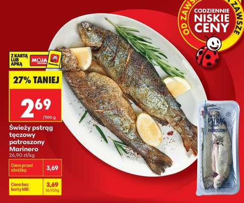 Świeży pstrąg tęczowy patroszony Marinero